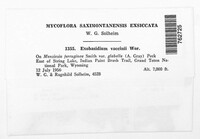 Image Associated With the Occurence